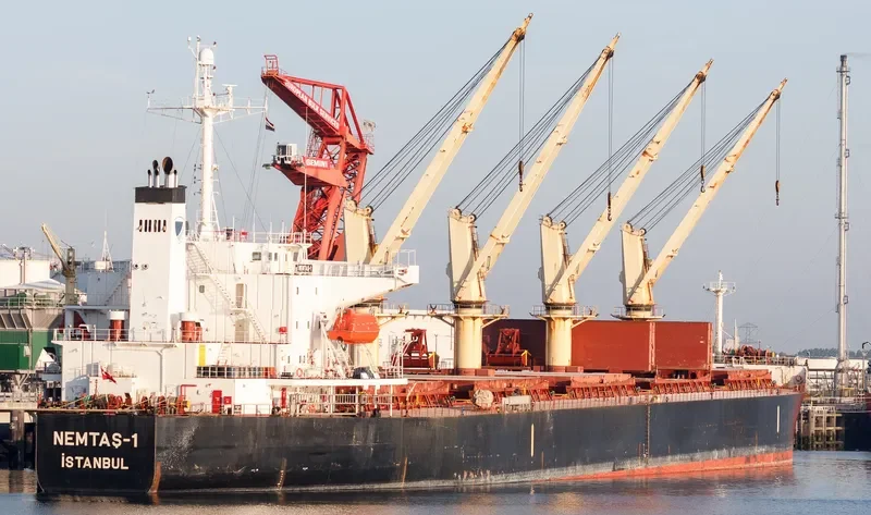 YAN DUN JIAO 1 Bulk Carrier IMO 9228459 photo 6