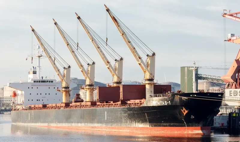 YAN DUN JIAO 1 Bulk Carrier IMO 9228459 photo 7