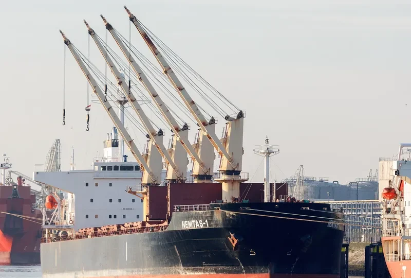 YAN DUN JIAO 1 Bulk Carrier IMO 9228459 photo 8