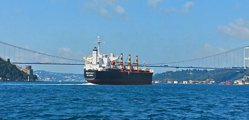 YAN DUN JIAO 1 Bulk Carrier IMO 9228459 photo 9
