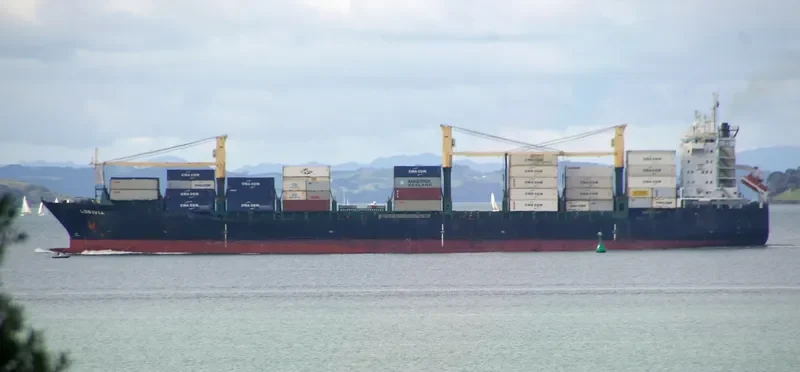 LOBIVIA Container Ship IMO 9228564 photo 5