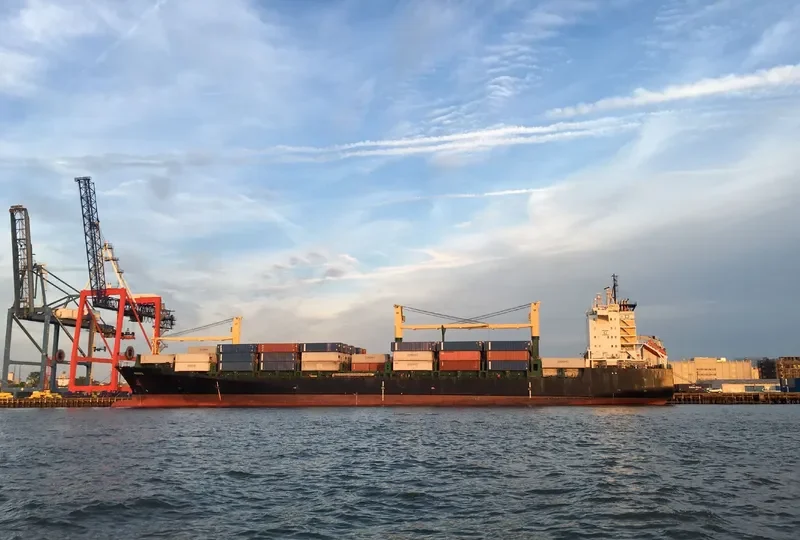 MSC NILA Container Ship IMO 9228576
