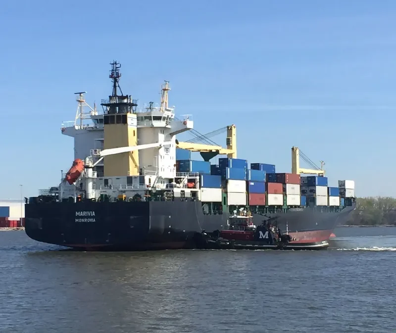 MSC NILA Container Ship IMO 9228576 photo 2