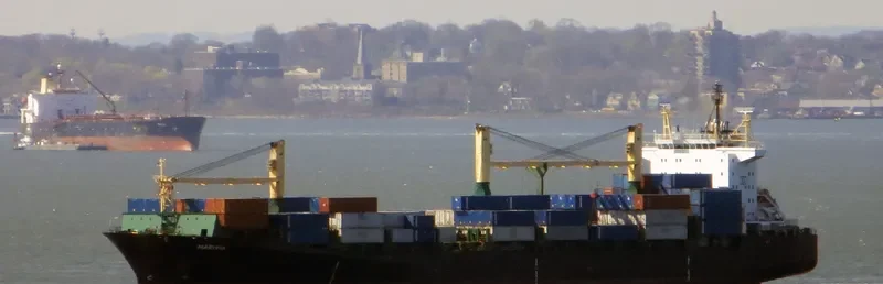 MSC NILA Container Ship IMO 9228576 photo 3