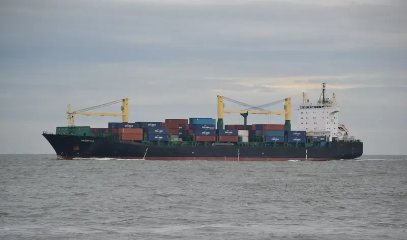 MSC NILA Container Ship IMO 9228576 photo 4