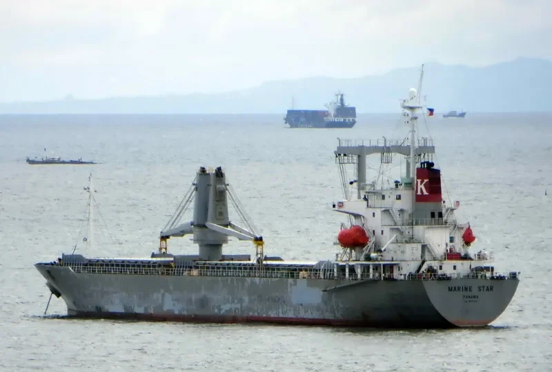 SEA RUBY General Cargo IMO 9228629