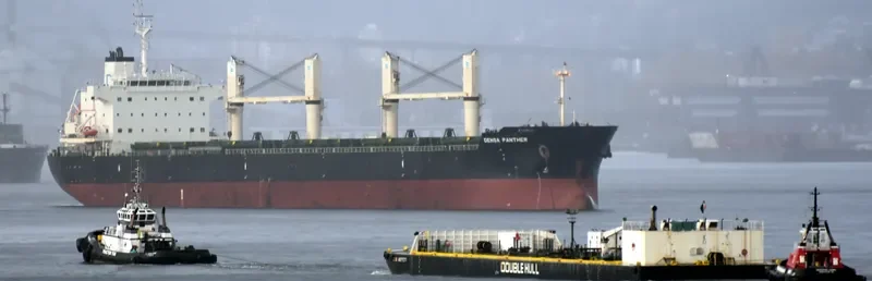 MILLENNIUM STAR General Cargo IMO 9228942
