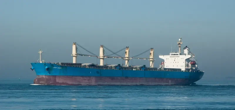 HG SHANGHAI Bulk Carrier IMO 9228992 photo 6