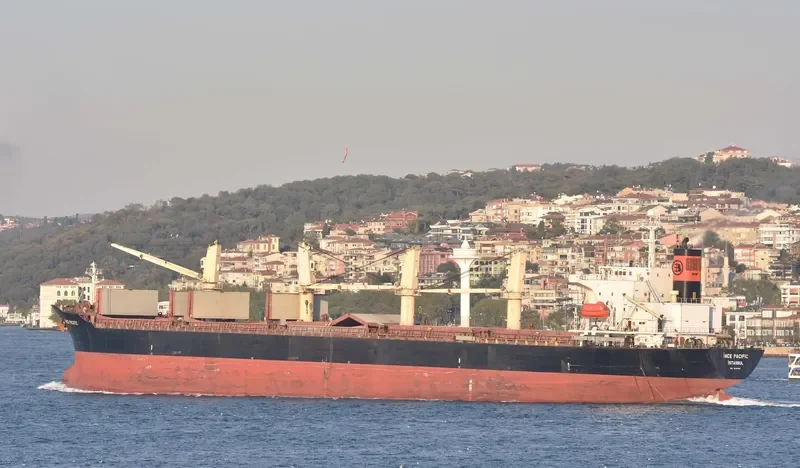INCE PACIFIC Bulk Carrier IMO 9229001 photo 2