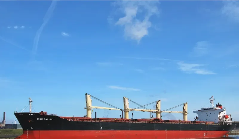 INCE PACIFIC Bulk Carrier IMO 9229001 photo 3