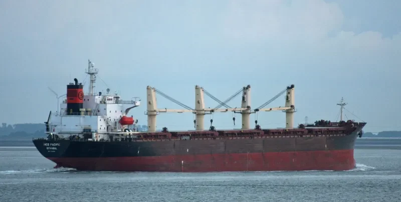 INCE PACIFIC Bulk Carrier IMO 9229001 photo 5