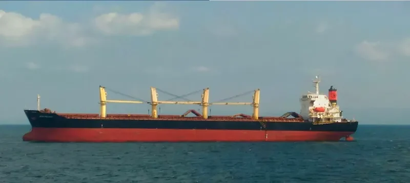 INCE PACIFIC Bulk Carrier IMO 9229001 photo 6