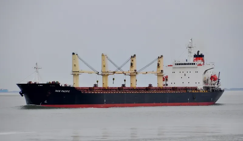 INCE PACIFIC Bulk Carrier IMO 9229001 photo 8