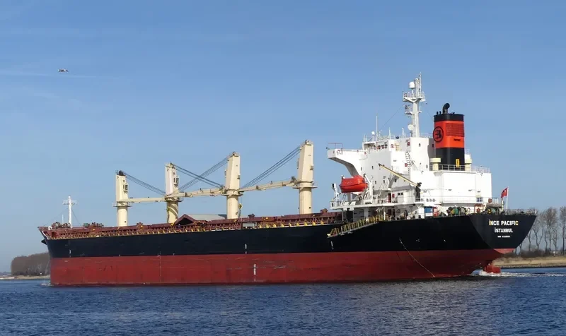 INCE PACIFIC Bulk Carrier IMO 9229001 photo 10