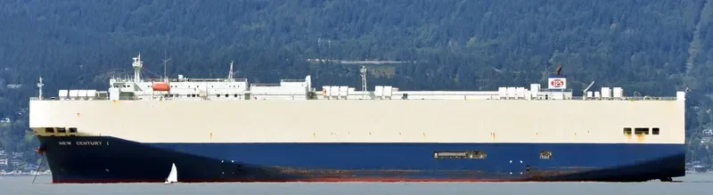 NEW CENTURY 1 General Cargo IMO 9229398