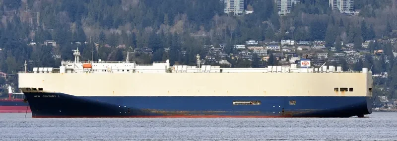 NEW CENTURY 1 General Cargo IMO 9229398 photo 7