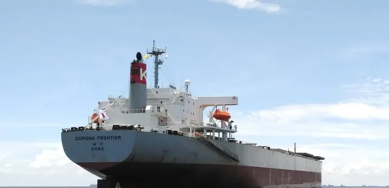 XIN DONG GUAN 12 Bulk Carrier IMO 9229415