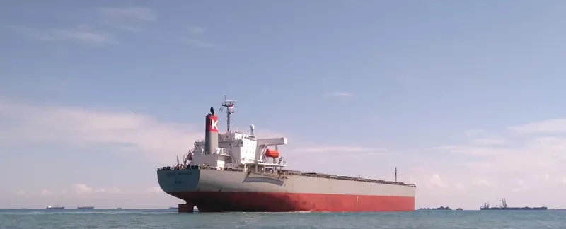XIN DONG GUAN 12 Bulk Carrier IMO 9229415 photo 2
