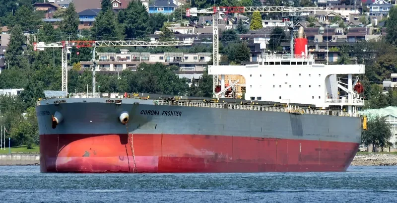 XIN DONG GUAN 12 Bulk Carrier IMO 9229415 photo 5