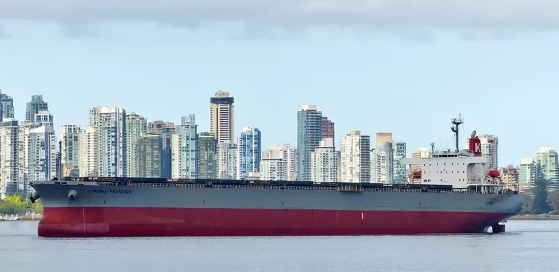 XIN DONG GUAN 12 Bulk Carrier IMO 9229415 photo 6