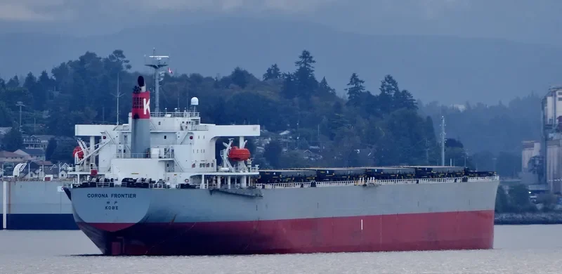 XIN DONG GUAN 12 Bulk Carrier IMO 9229415 photo 7