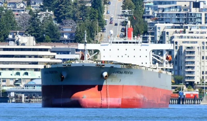 XIN DONG GUAN 12 Bulk Carrier IMO 9229415 photo 9