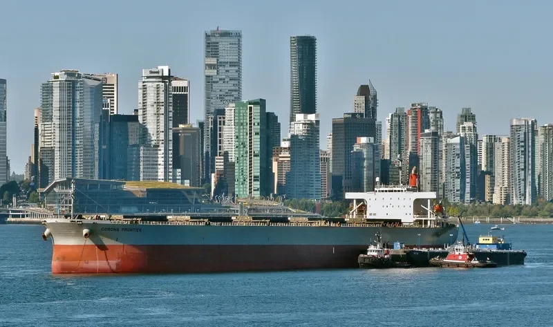 XIN DONG GUAN 12 Bulk Carrier IMO 9229415 photo 10