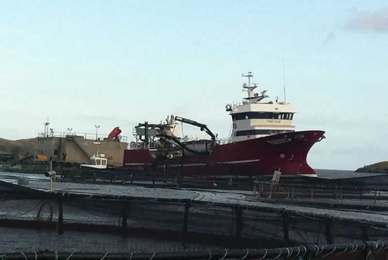 RONIA AUSTRAL General Cargo IMO 9229465 photo 4