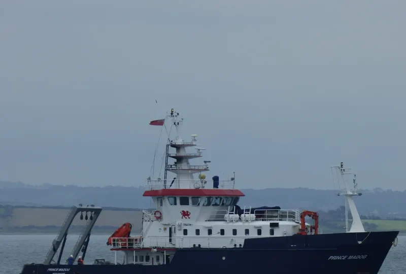 PRINCE MADOG General Cargo IMO 9229611 photo 3