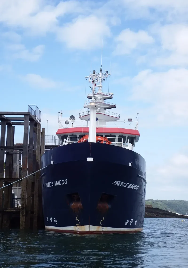 PRINCE MADOG General Cargo IMO 9229611 photo 6