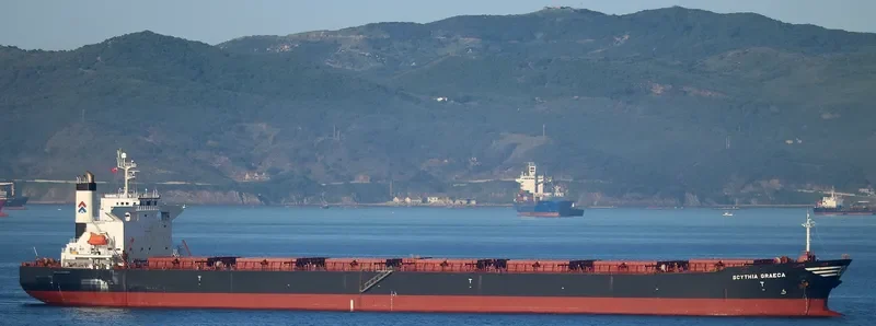 SCYTHIA GRAECA Bulk Carrier IMO 9229623 photo 3