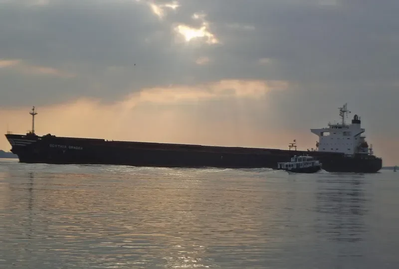 SCYTHIA GRAECA Bulk Carrier IMO 9229623 photo 5