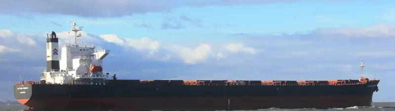 SCYTHIA GRAECA Bulk Carrier IMO 9229623 photo 10