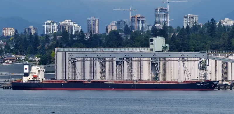 ADRIATICA GRAECA Bulk Carrier IMO 9229635