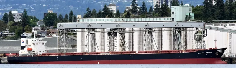 ADRIATICA GRAECA Bulk Carrier IMO 9229635 photo 2