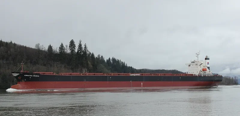ADRIATICA GRAECA Bulk Carrier IMO 9229635 photo 7