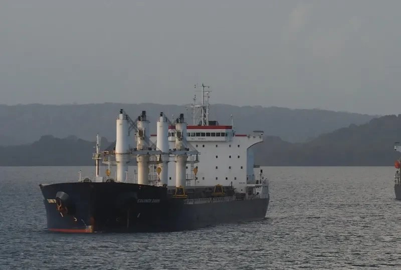 EQUINOX DAWN Bulk Carrier IMO 9229673