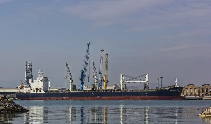 EQUINOX DAWN Bulk Carrier IMO 9229673 photo 4