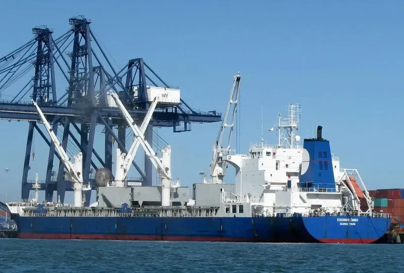 EQUINOX DAWN Bulk Carrier IMO 9229673 photo 5