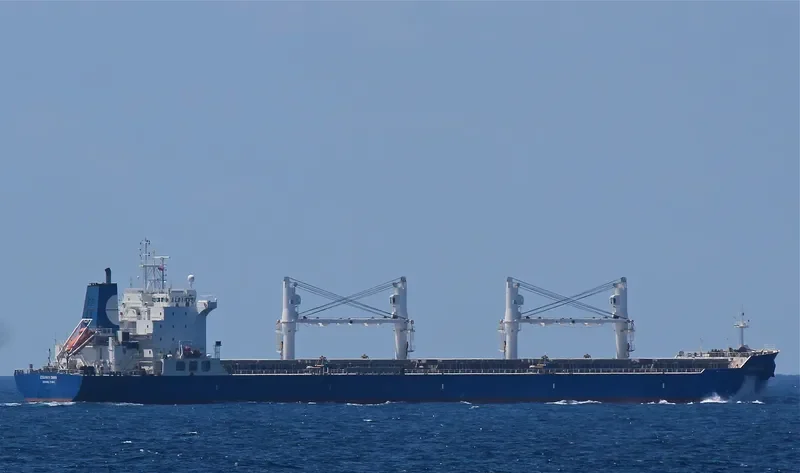 EQUINOX DAWN Bulk Carrier IMO 9229673 photo 6