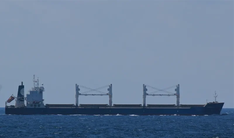 EQUINOX DAWN Bulk Carrier IMO 9229673 photo 7