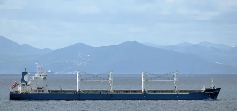 EQUINOX DAWN Bulk Carrier IMO 9229673 photo 8