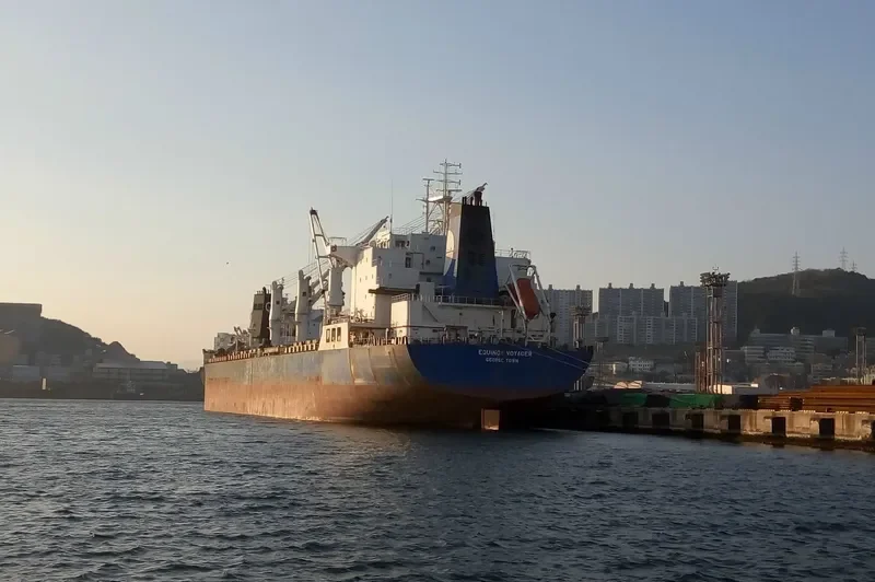 EQUINOX VOYAGER Bulk Carrier IMO 9229685 photo 3