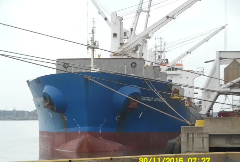 EQUINOX VOYAGER Bulk Carrier IMO 9229685 photo 4