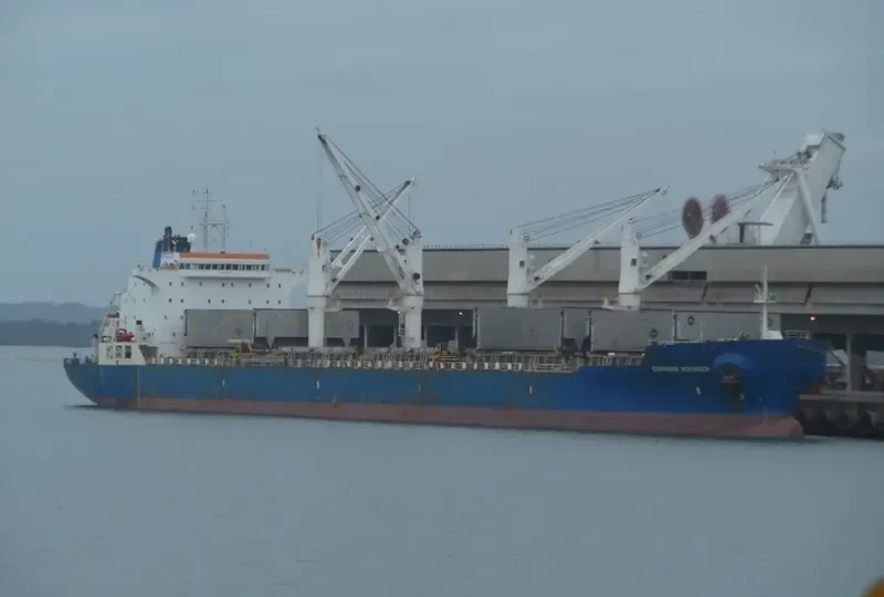 EQUINOX VOYAGER Bulk Carrier IMO 9229685 photo 5