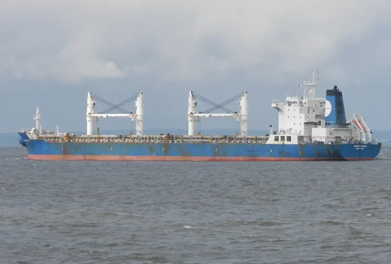 EQUINOX VOYAGER Bulk Carrier IMO 9229685 photo 6