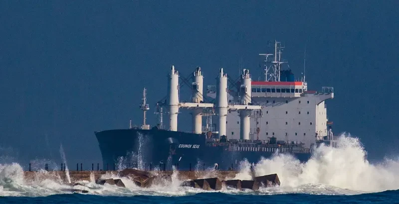 EQUINOX SEAS Bulk Carrier IMO 9229697