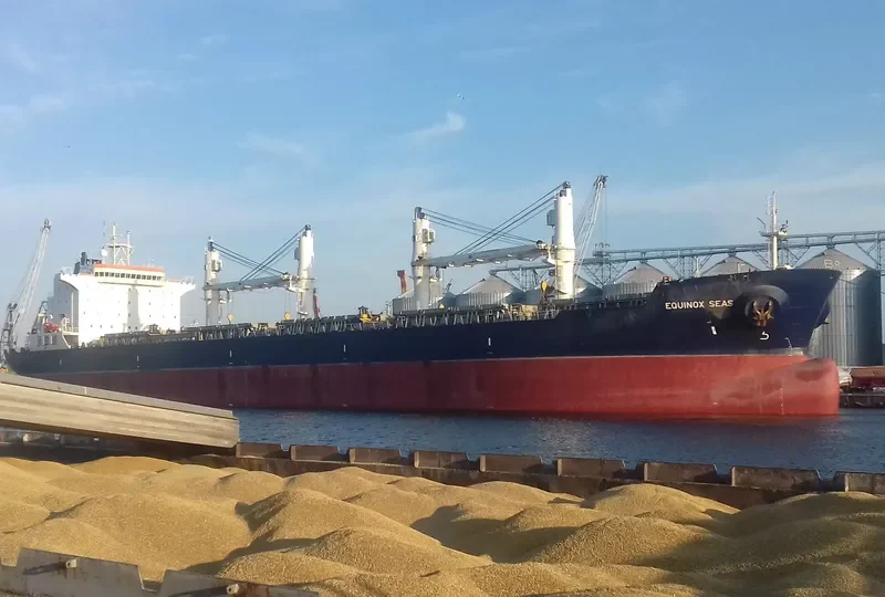 EQUINOX SEAS Bulk Carrier IMO 9229697 photo 2