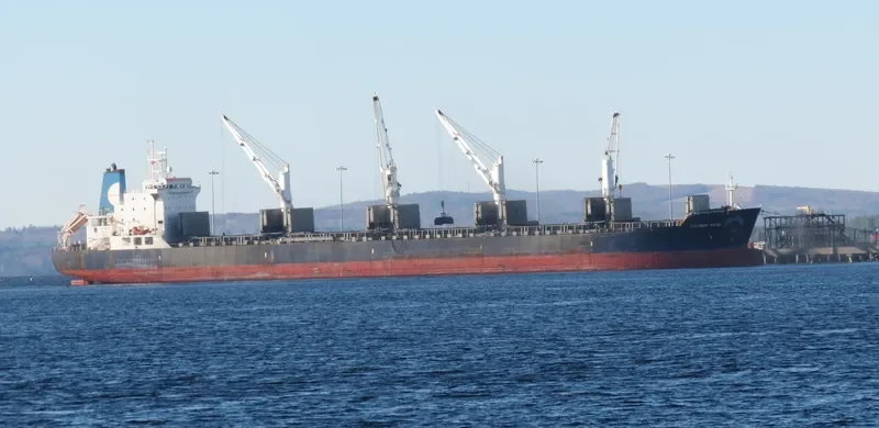 EQUINOX SEAS Bulk Carrier IMO 9229697 photo 3