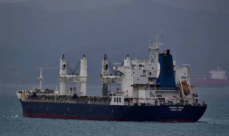 EQUINOX SEAS Bulk Carrier IMO 9229697 photo 4